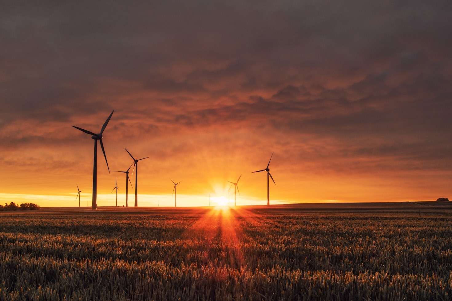 Jak efektywnie korzystać z energii słonecznej?